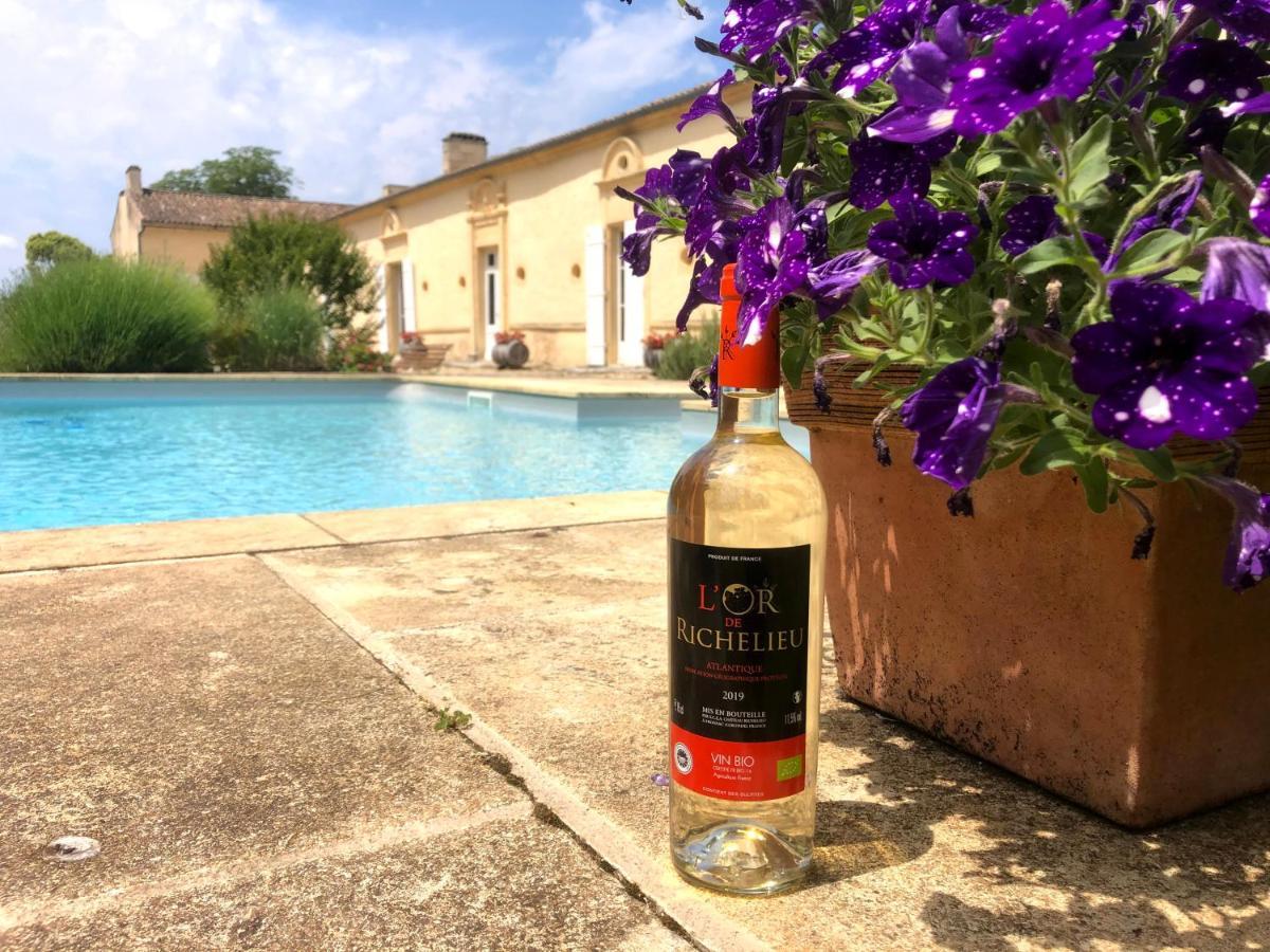 Chateau Richelieu Fronsac Kültér fotó