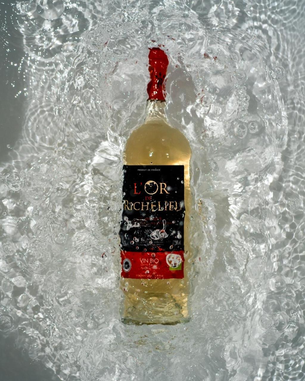 Chateau Richelieu Fronsac Kültér fotó