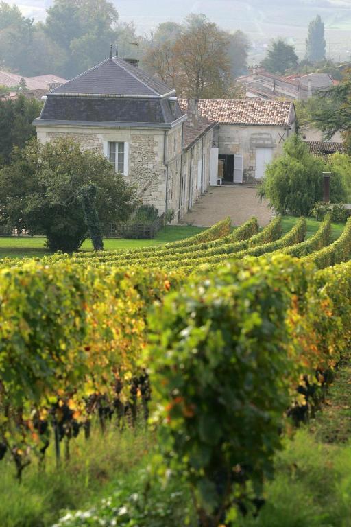 Chateau Richelieu Fronsac Kültér fotó